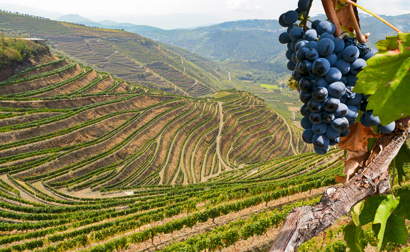 Douro River 6