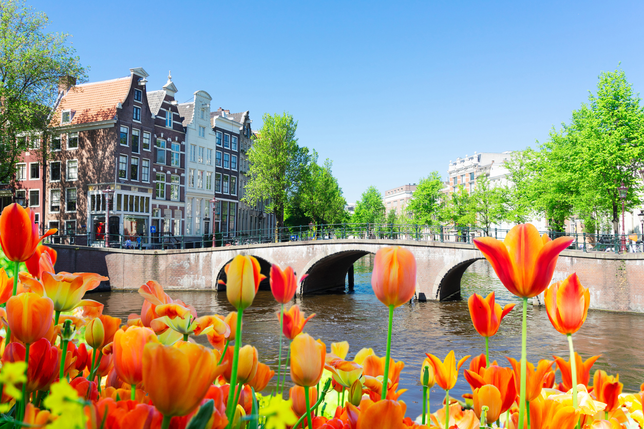 Netherlands and Belgium 6